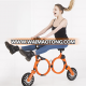 Fashionable Foldable Electric Bicycle Light Weight Mini Lithium Folding Bicycle for Wholesale