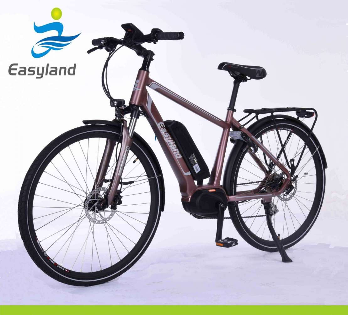 2017 New Design Electric Bicycle with Lithium Battery 700c