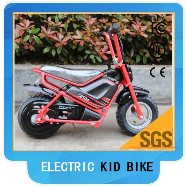 Mini Electric Bike 200W/ 250W /350W